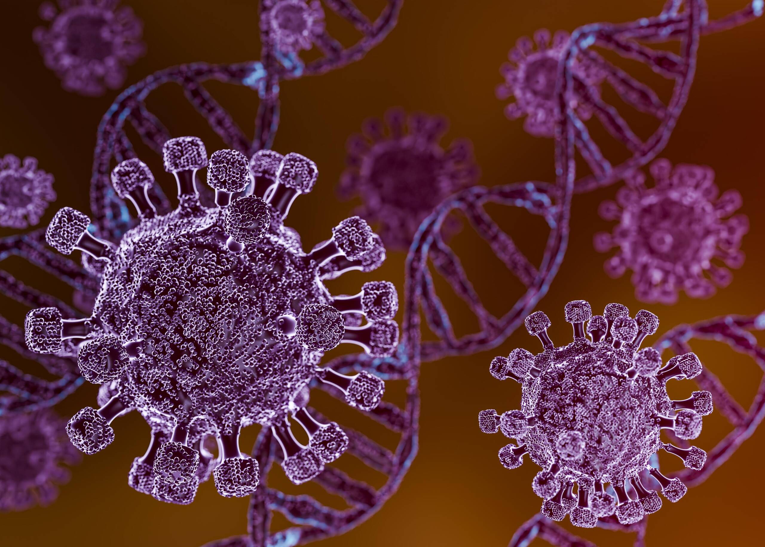 Custom Antibody Development