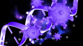 Anti-HA-Tag Antibody Monoclonal