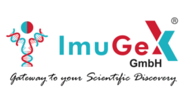 Recombinant Human IGFBP7
