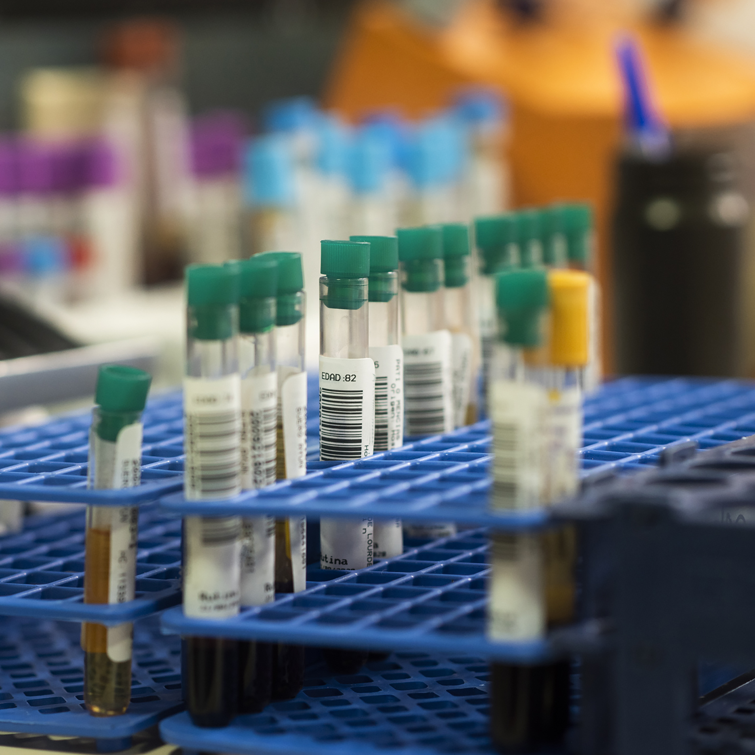 Protein & Peptide Solutions